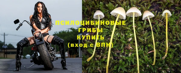 кристаллы Белокуриха