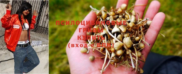 таблы Белоозёрский