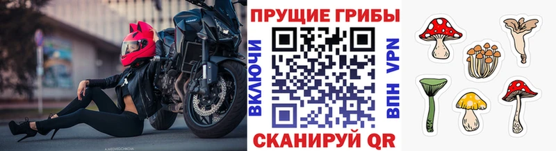 Галлюциногенные грибы ЛСД  где купить наркоту  Котельниково 